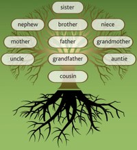 Genealogy Society Meeting