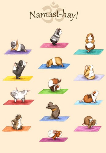 Kids Yoga Kids Yoga
