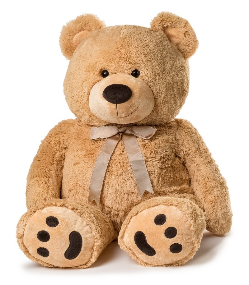 Stuffed Animal Sleepover Stuffed Animal Sleepover