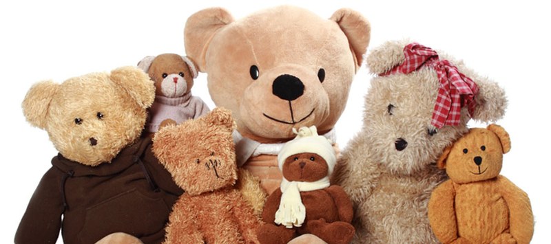 Teddy Bear Sleep Over Teddy Bear Sleep Over