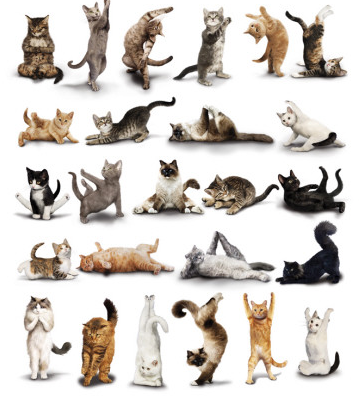 Tot Yoga Tot Yoga