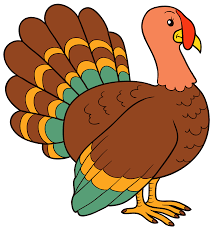 turkey p.png