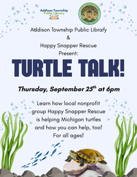 Turtle Talk!